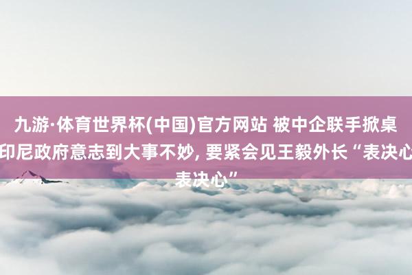 九游·体育世界杯(中国)官方网站 被中企联手掀桌, 印尼政府意志到大事不妙, 要紧会见王毅外长“表决心”