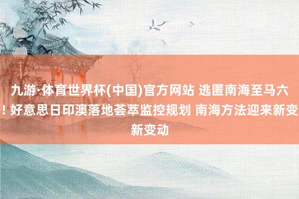九游·体育世界杯(中国)官方网站 逃匿南海至马六甲! 好意思日印澳落地荟萃监控规划 南海方法迎来新变动