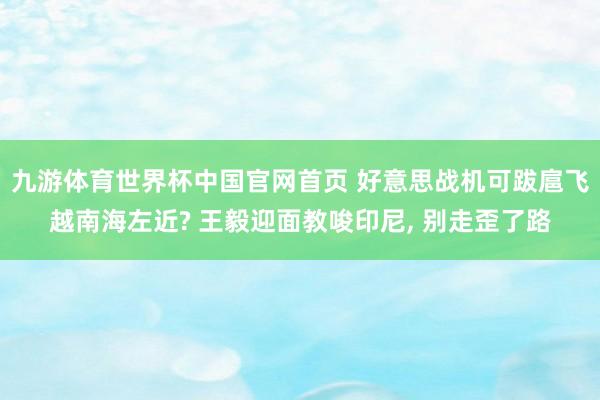 九游体育世界杯中国官网首页 好意思战机可跋扈飞越南海左近? 王毅迎面教唆印尼, 别走歪了路