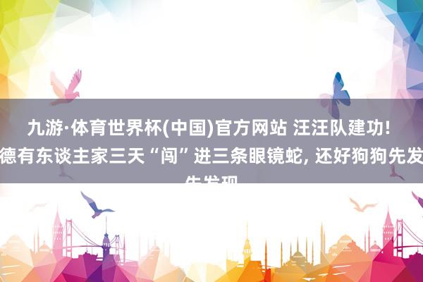 九游·体育世界杯(中国)官方网站 汪汪队建功! 建德有东谈主家三天“闯”进三条眼镜蛇, 还好狗狗先发现