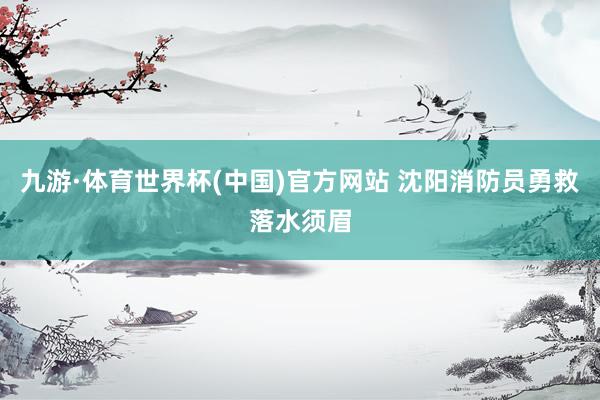 九游·体育世界杯(中国)官方网站 沈阳消防员勇救落水须眉