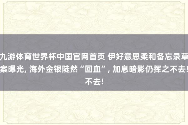 九游体育世界杯中国官网首页 伊好意思柔和备忘录草案曝光, 海外金银陡然“回血”, 加息暗影仍挥之不去!