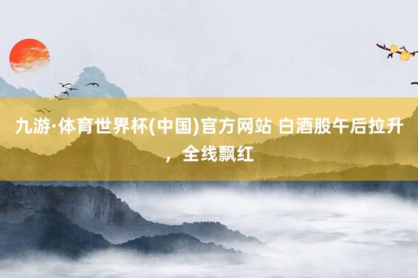 九游·体育世界杯(中国)官方网站 白酒股午后拉升，全线飘红