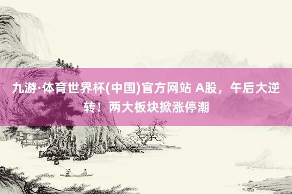 九游·体育世界杯(中国)官方网站 A股，午后大逆转！两大板块掀涨停潮