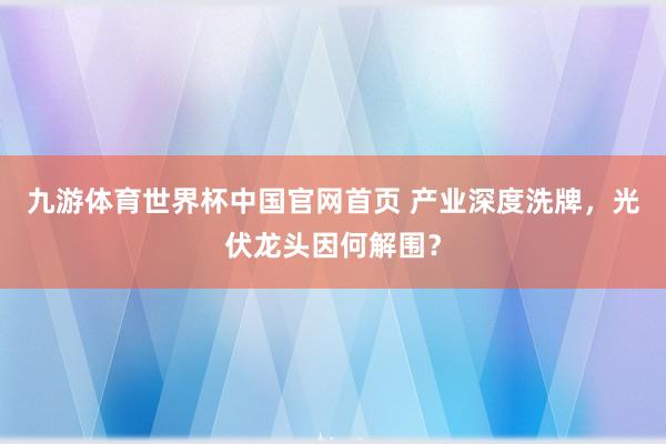 九游体育世界杯中国官网首页 产业深度洗牌，光伏龙头因何解围？