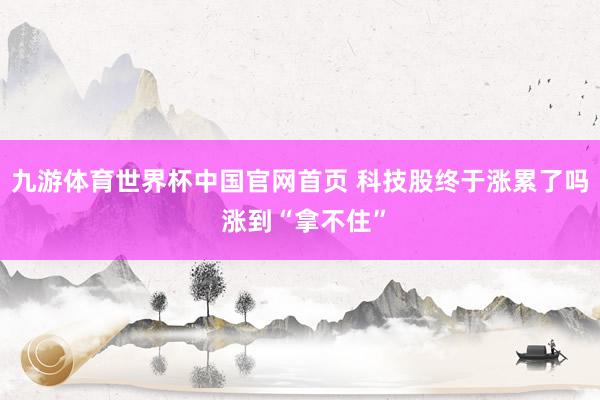 九游体育世界杯中国官网首页 科技股终于涨累了吗 涨到“拿不住”