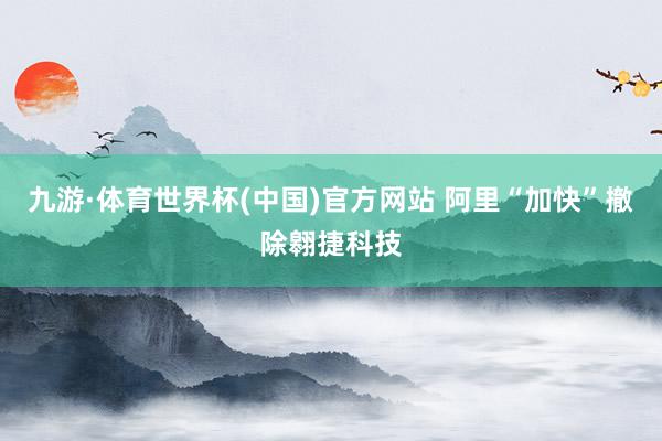 九游·体育世界杯(中国)官方网站 阿里“加快”撤除翱捷科技