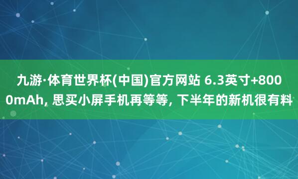 九游·体育世界杯(中国)官方网站 6.3英寸+8000mAh, 思买小屏手机再等等, 下半年的新机很有料