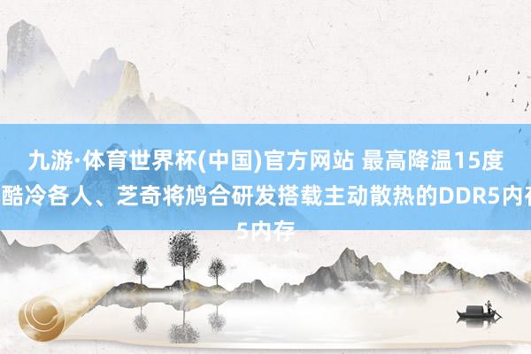 九游·体育世界杯(中国)官方网站 最高降温15度: 酷冷各人、芝奇将鸠合研发搭载主动散热的DDR5内存