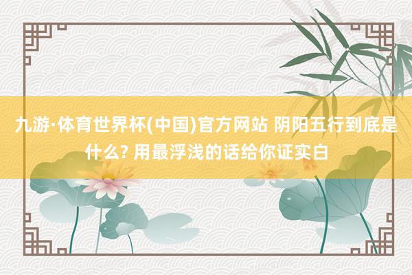 九游·体育世界杯(中国)官方网站 阴阳五行到底是什么? 用最浮浅的话给你证实白