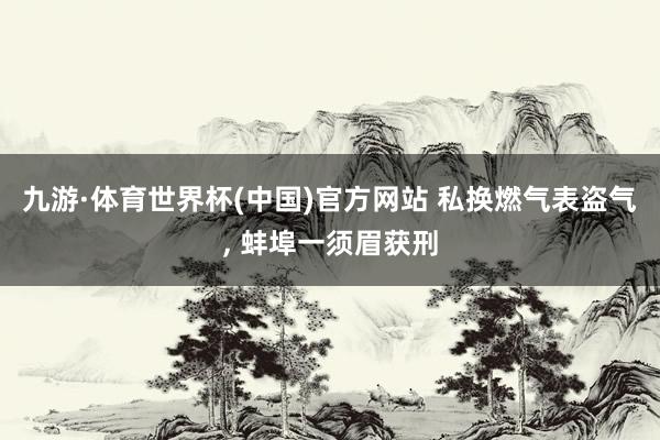九游·体育世界杯(中国)官方网站 私换燃气表盗气， 蚌埠一须眉获刑