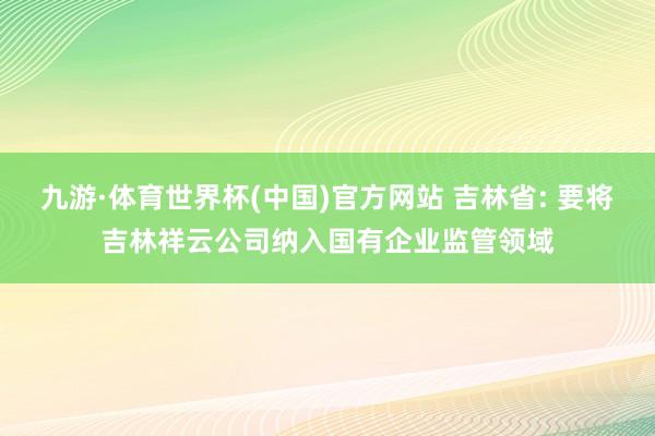 九游·体育世界杯(中国)官方网站 吉林省: 要将吉林祥云公司纳入国有企业监管领域