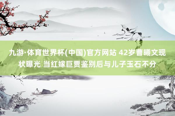 九游·体育世界杯(中国)官方网站 42岁曹曦文现状曝光 当红嫁巨贾鉴别后与儿子玉石不分