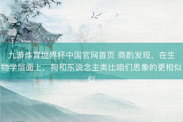 九游体育世界杯中国官网首页 商酌发现,在生物学层面上,狗和东说念主类比咱们思象的更相似