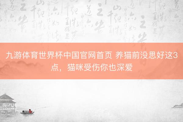 九游体育世界杯中国官网首页 养猫前没思好这3点,猫咪受伤你也深爱
