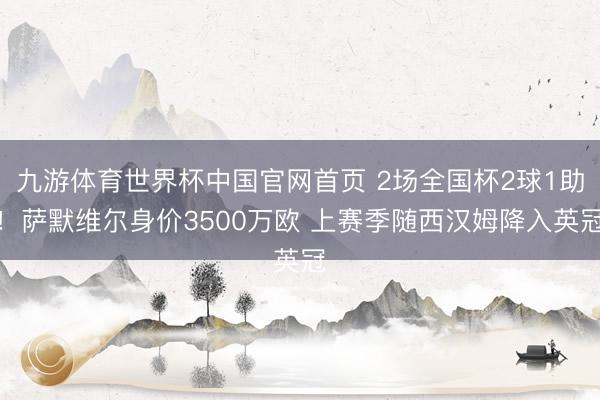 九游体育世界杯中国官网首页 2场全国杯2球1助!萨默维尔身价3500万欧 上赛季随西汉姆降入英冠